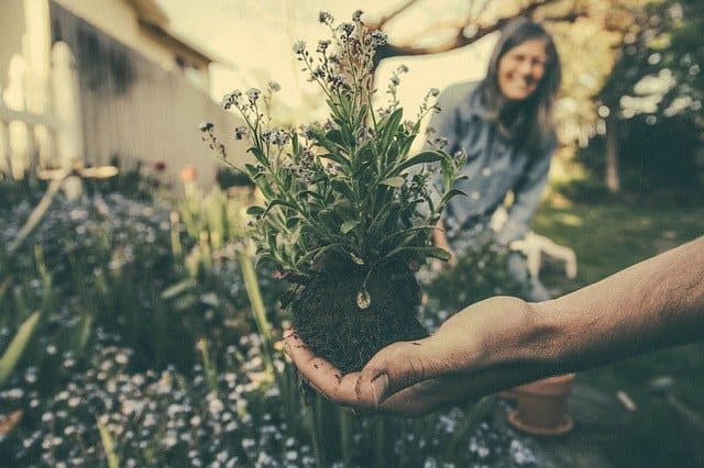 Start the Home-Gardening service