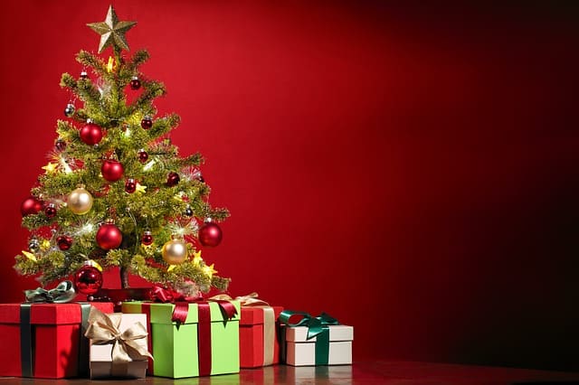 Start with Christmas Tree Recycling