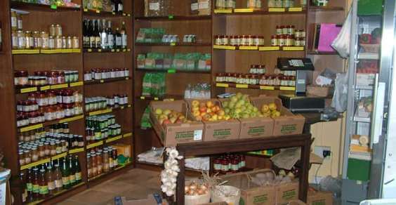 Start a physical store of organic products